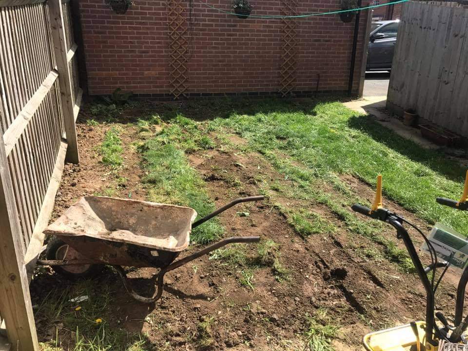 Lawn & Landscaping — before