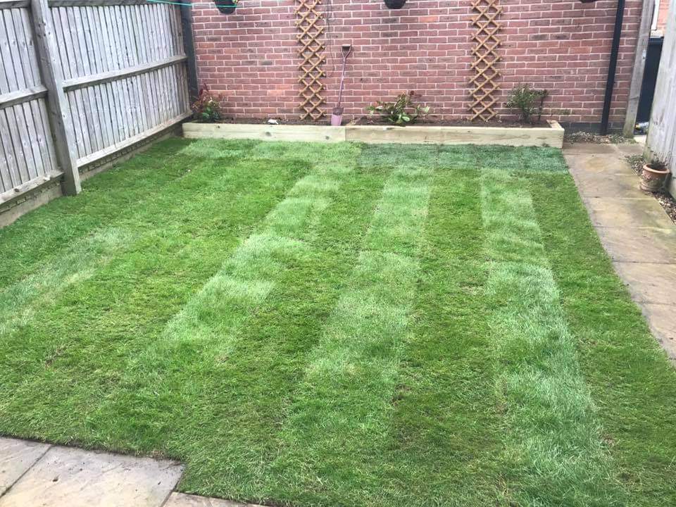 Lawn & Landscaping — after